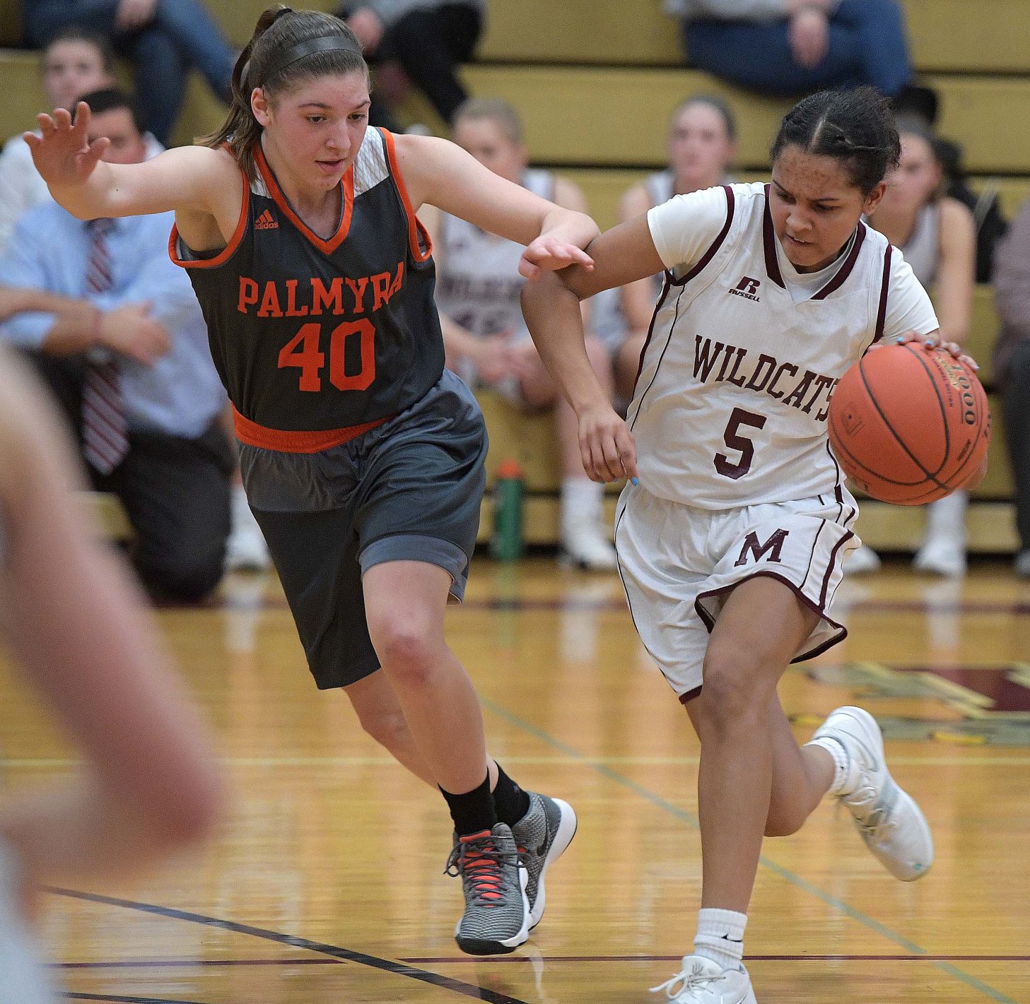 Mechanicsburg Palmyra Basketball (copy)